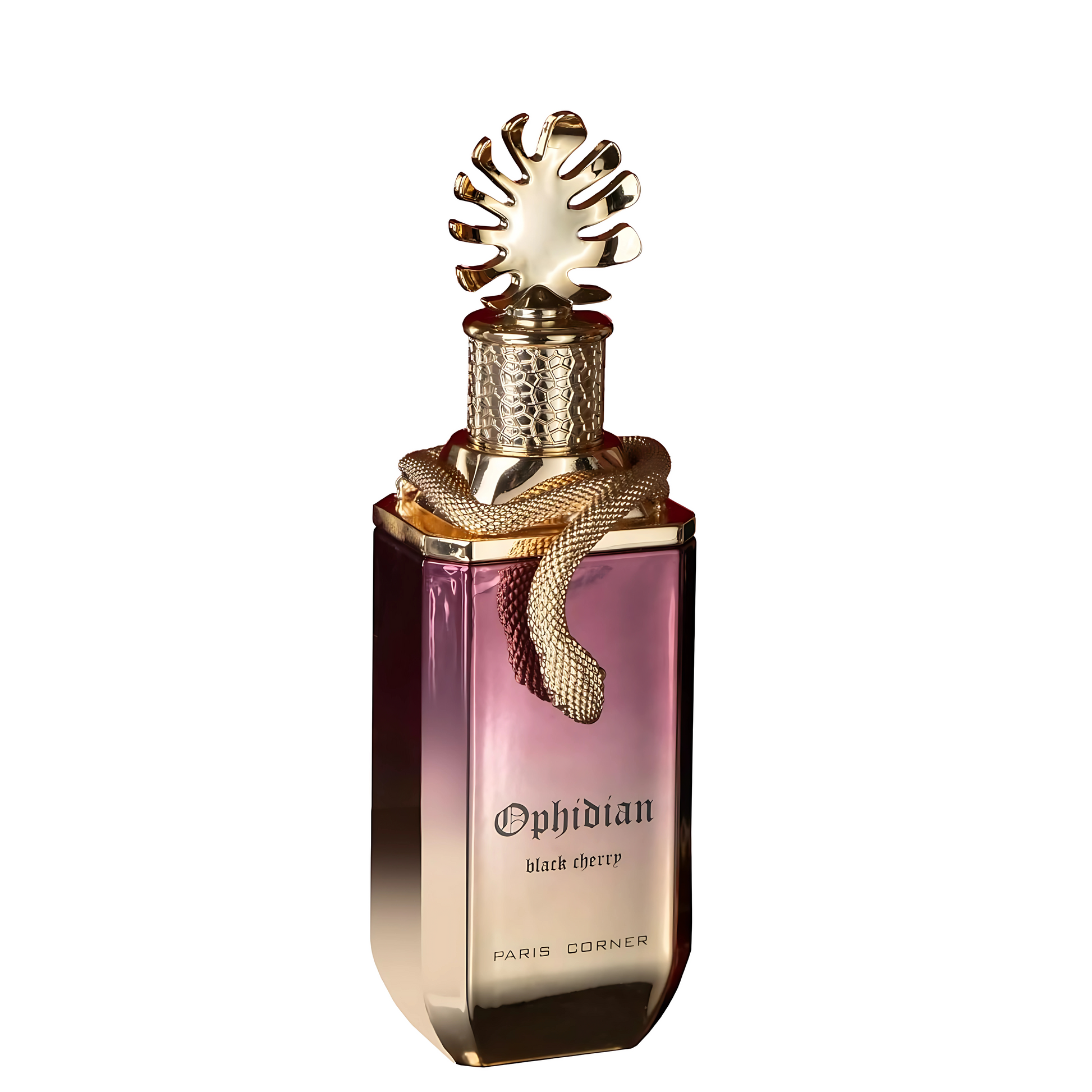 Ophidian Black Cherry Bliss Perfume 100ml EDP by Paris Corner