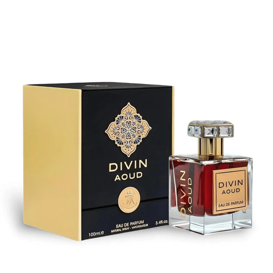 Divin Aoud Perfume 100ml FA Paris by Fragrance World