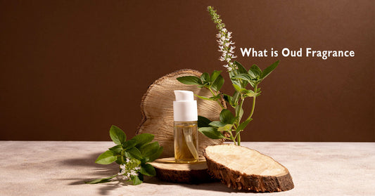 What is Oud Fragrance