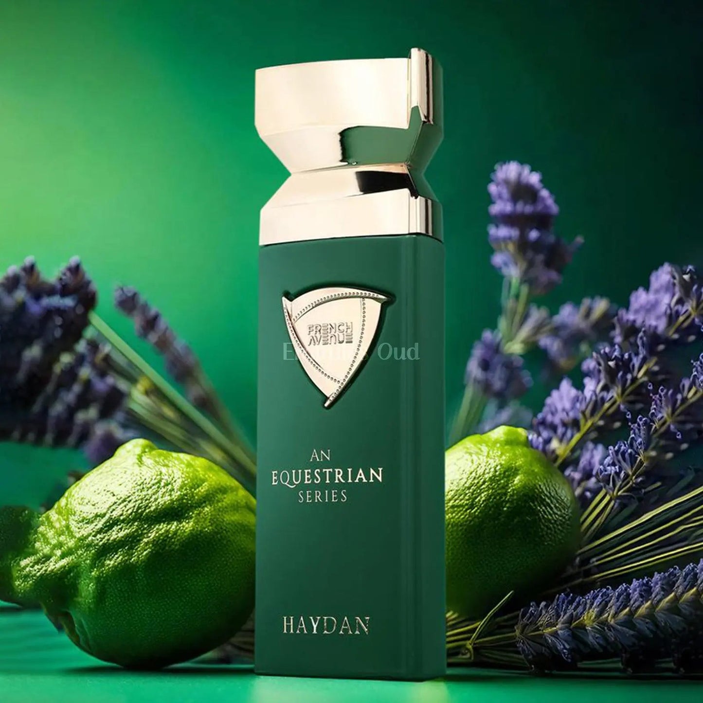 Haydan Equestrian Series Perfume 100ml EDP French Avenue