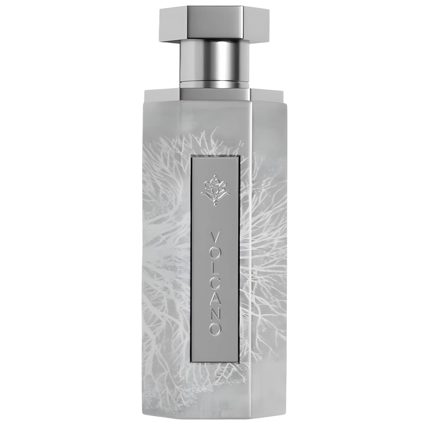Volcano Perfume 150ml EDP Reef